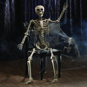 Oriental Trading Company Life-Size Posable Skeleton, 5 Ft, White, Fully Jointed Halloween Decoration