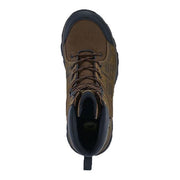 Irish Setter Terrain 10