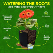 Campior Self Watering Plant Pots, Pack of 10, Indoor Outdoor Planters with Wick Rope and Drainage Holes, Lightweight Matte Black Plastic, Round Classic Style