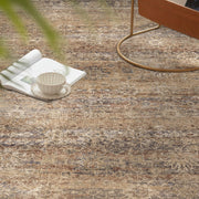 Berthmeer 8 x 10 Brown Vintage Oriental Area Rug, Traditional Distressed Design, Non Slip, Washable, Low Pile
