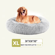 CONCETTA Fluffy Donut Dog Bed, 37 Inch, Large, Gray, Machine Washable Cover