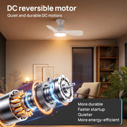 Consciot 30-Inch Flush Mount Ceiling Fan with Dimmable 3-Color LED Light, Remote Control, 6 Speeds, Reversible DC Motor, White, CL17004-W-WM