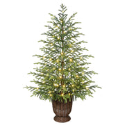 My Texas House 4ft Green Pre-Lit Norfolk Pine Potted Christmas Tree with 100 Warm White Twinkle LED Lights