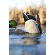 GSM Outdoors Avian-X Power Butt Kicker Drake Mallard Motion Duck Decoy, Rechargeable Lithium-Ion Battery, Foam-Filled Body, AVX-PBKD