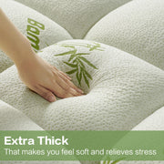 PATSBA Queen Size Mattress Topper, Bamboo Cover, Plush 2-Inch Thickness, Noiseless, Deep Pocket 8-21 in