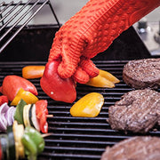 Reality Films UFO Chronicles: The Smoking Gun