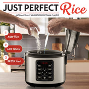 Gourmia GRC312 3 Qt Rice & Grain Cooker & Steamer 12 Cup Cooked (6 Cup Uncooked) Stainless Steel