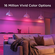 Govee BR30 Smart LED Bulb 1000 Lumens Multicolor Dimmable Tunable White 2-Pack B6011AC1