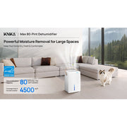 ITdodo Dehumidifier for Basements and Large Rooms, 80 Pints Moisture Removal, Up to 4500 Sq.Ft Coverage, White, Adjustable Humidistat, Automatic Defrost Control, Dual Timer