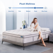 Lechepus Twin XL Mattress, Lechepus 14 Inch Hybrid Foam Mattresses in a Box