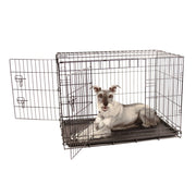 Carlson Pet Products 0089161800170 Compact Double Door Wire Dog Crate, Intermediate