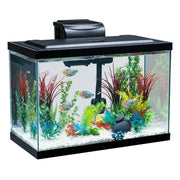 Vibrant Life NV33922 20 Gallon Aquarium Starter Kit with Blue & White LED Lights