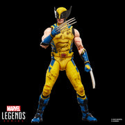 Hasbro Marvel Legends Series Wolverine 6-Inch Action Figure with Battle-Damaged Sleeveless Suit and 3 Accessories 94744356