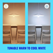 WiZ Connected A19 Tunable White LED Light Bulb, 60W Equivalent, 800 Lumens, Dimmable, E26 Base, Indoor, 1 Pack