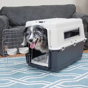Kennels Direct Dog Crate - Gray Large