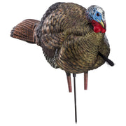 Avian-X AVX8012 LCD Half-Strut Jake Turkey Decoy