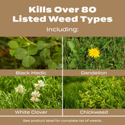 Scotts Turf Builder Weed & Feed for Texas Lawns, Granular Weed Killer and Fertilizer, 28-0-3 NPK, 22.4 lb, 8,000 sq ft Coverage, 52227