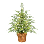 My Texas House 24-Inch Pre-Lit Green Cypress Artificial Christmas Tree with 30 Warm White Twinkle LED Lights, 45 Lifelike Branch Tips, Decorative Woven Basket Base