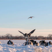 Lucky Duck 10418-7 Super Goose Flapper HDI Decoy with Bag and Remote