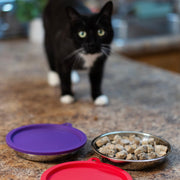 Messy Mutts Cat Feeding Bowl Set, 4 Piece, Stainless Steel Saucer Bowls with Airtight Silicone Lids, 1.75 Cup, Silver, MC043M