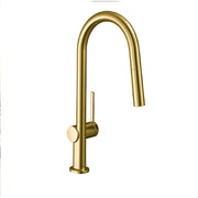 HANSGROHE 72846251 Talis N Gold High Arc Kitchen Faucet, Kitchen Faucets with Pull Down Sprayer, Faucet for Kitchen Sink