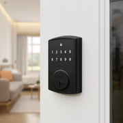 Brinks Electronic 4391-122-2 Touchpad Deadbolt with Pro-Guard, Transitional, Matte Black