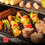 Nexgrill 5-Burner Gas Grill with Side Burner, 67,000 BTUs, 618 sq in Cooking Area, Stainless Steel Panel, Black, 720-1142
