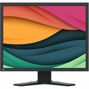 EIZO S2134-GY Computer Monitor, 21-Inch 4:3 Display, 1600x1200 Resolution, Gray