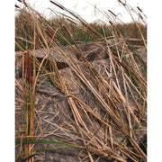 Beavertail 401339 Boat Blind - 1800 - Mimichrist Blind Spot