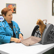 SportPet Designs SP-0212-CS01 Foldable Plastic Travel Cat Carrier, For Cats 5-25 lb.