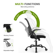 Gianna Ergonomic Mesh Office Chair with Adjustable Armrests, Lumbar Support, Mid-Back Design, Smooth-Rolling Wheels, Black