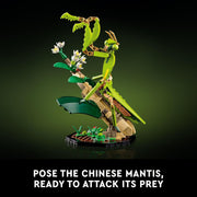 LEGO 6452127 Ideas The Insect Collection Building Set