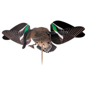 Avian-X AVX-PFLHT-MW Powerflight Teal Hen Motorized Duck Decoy with 2 Wing Sets