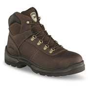 Irish Setter Ely 6