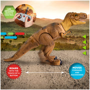 Discovery Kids Remote Control T Rex Dinosaur Electronic Toy with Walking Legs, Roaring Sounds, Chomping Mouth, Realistic Brown Plastic, Ages 6 and Up