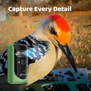 Birdfy Solar Powered Bird Feeder 2 Pro with AI Camera