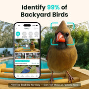 Birdfy Smart Bird Feeder with 1080p HD Camera, AI Bird Detection, Solar Power, Bamboo, 3.5L Dual-Compartment NIWM-4358