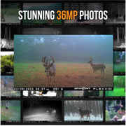 Spypoint FLEX-G36C-US Flex G-36C Cellular Trail Camera