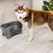 Neater Pets 200-236-AB2 EXPRESS Neater Feeder Dog Feeder - Gunmetal Grey - Medium to Large