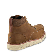 Irish Setter Setter Fifty 6