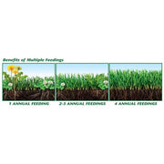 Scotts 5,000 sq. ft. Turfbuilder with Summerguard Fertilizer-49013