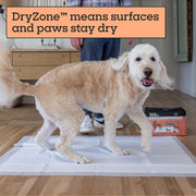 Pet Life Unlimited Jumbo Dog Pads, 4XL, 36x48 in, Extra Large Absorbent Pads, 20 Count