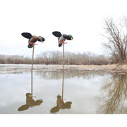 MOJO Outdoors Baby MOJO 2.0 Motorized Mallard Drake and Hen Duck Decoy, 2-Pack