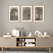 TOARTi Vintage Tree Sketch Wall Art Set, Framed Botanical Canvas Prints, Wood-Like PS Frames, 16x24 in, Set of 3