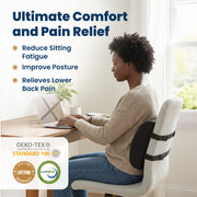 Everlasting Comfort Lumbar Support Pillow, High-Density Memory Foam, Ergonomic Contoured Design, Black, Adjustable Straps