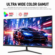 Gawfolk 24.5 Inch Gaming Monitor, 300Hz Refresh Rate, FHD 1080P, VA Panel, Built-in Speakers, DP HDMI Ports, 75x75mm VESA Mount, Black