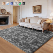 Cozydesg Shag Fluffy Area Rug, Soft Polyester Plush Carpet, Non-Slip Rubber Backing, Modern Gray, 6ft x 9ft