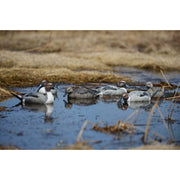 GHG Pro Grade Pintail Duck Decoys 6 Pack