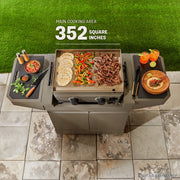 TYTUS Emberwood Portable Gas Griddle, 25,000 BTU Dual Burners, 352 Sq Inch Carbon Steel Plate, Gunmetal Gray, TDT-GHS-GGRD
