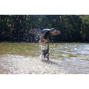 MOJO Outdoors Hw2542 Triple Whammy Duck Decoy Motion System